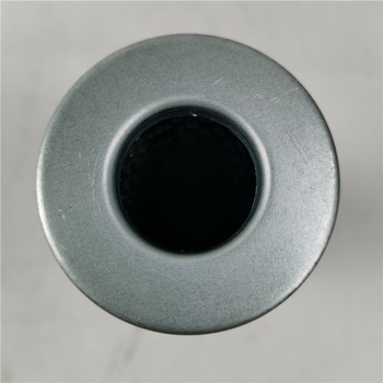 Replacement Internormen/Eaton Hydraulic Filter Element 300123 01.E.120.10VG.16.S.P
