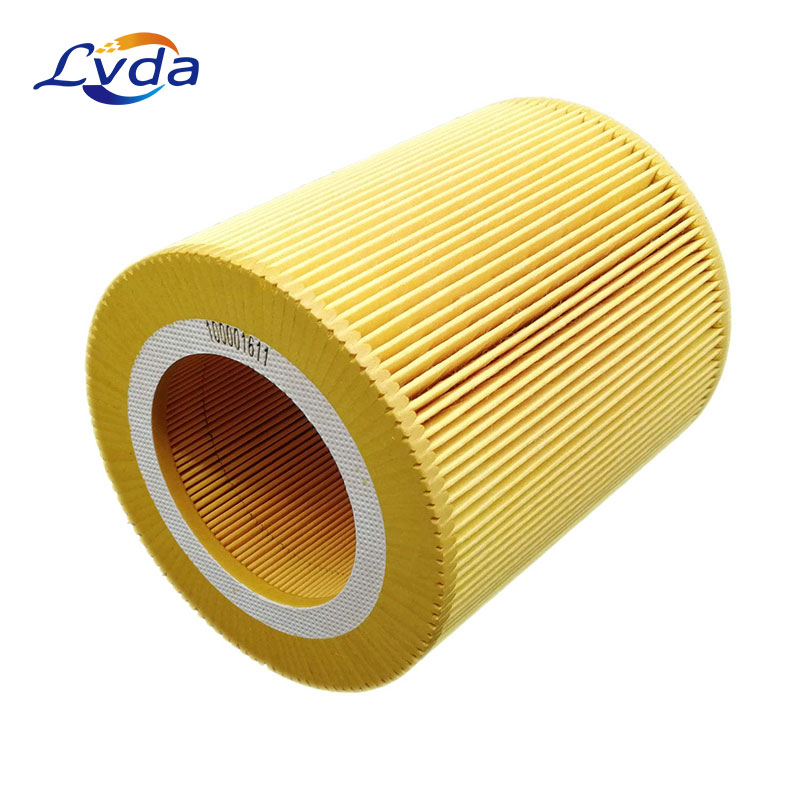 Substitute good quality 100001611 Air Filter Cartridge