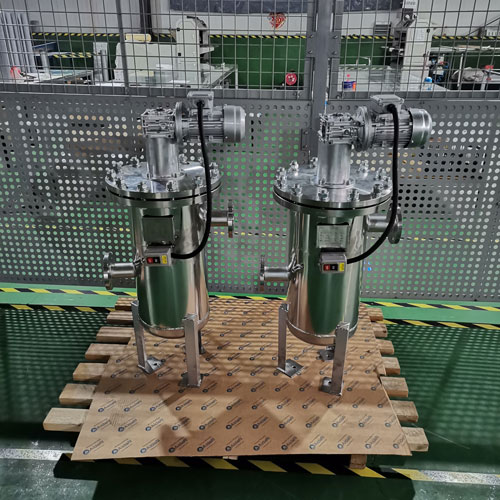 Multi core backwash filter