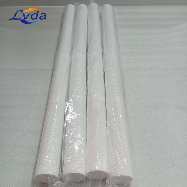 RT40C16G20NN Series Cartridge Filter
