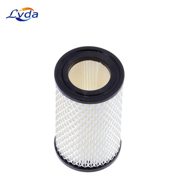 222731 Air filter