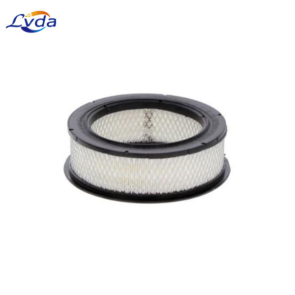 C2460 Air Filter