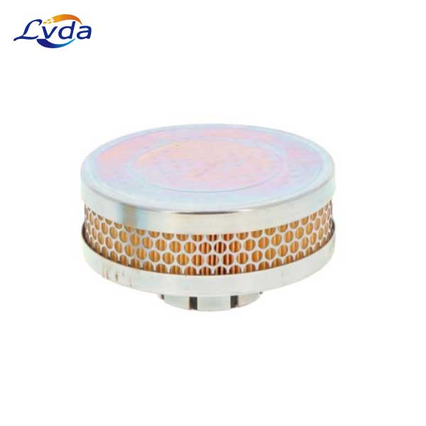 17216295 air filter