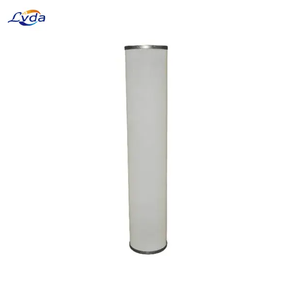 DM839-00-C Natural Gas Filter 