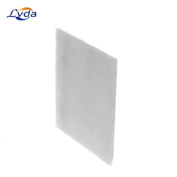 1100 CSD125 / 7.4519.0 Air Filter Mat