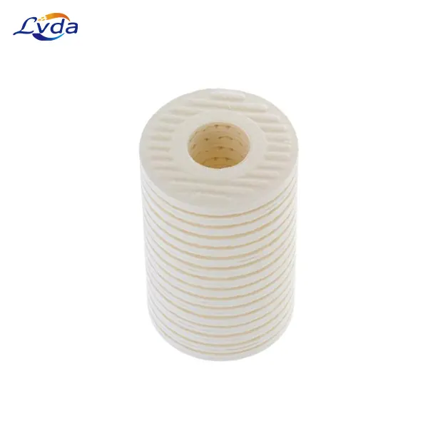 BG15/25 Offline oil filter element PA5601340
